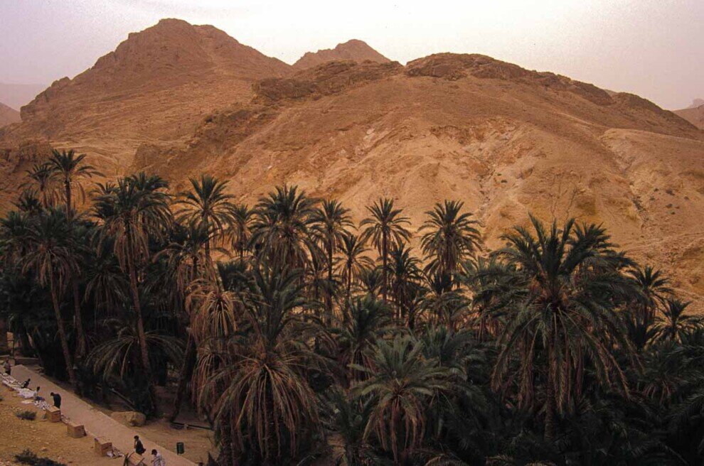 Montagne sabbiose e desertiche dove crescono molte palme.