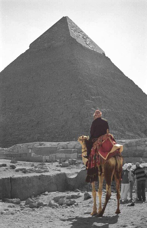 Un beduino in groppa al suo cammello volge lo sguardo verso la piramide di Chefren.