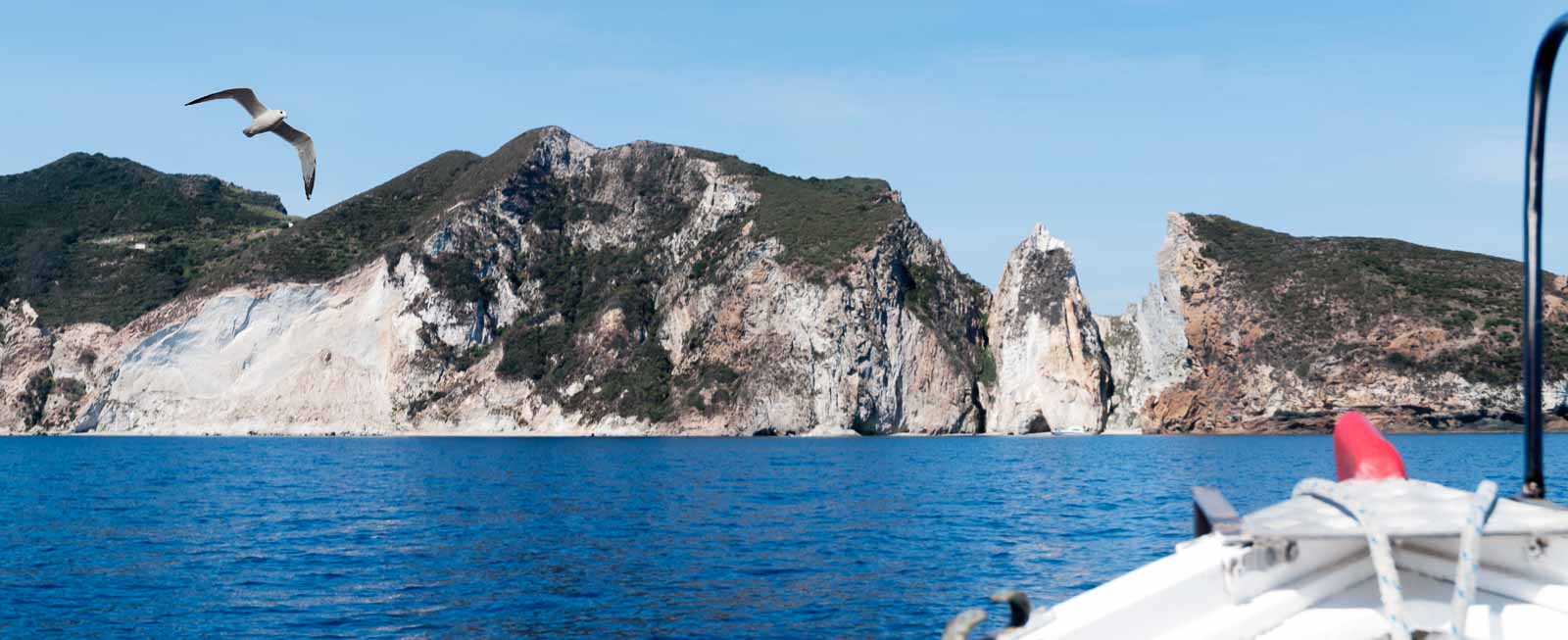 Isola di Palmarola vista dal mare dalla punta di una barca si comincia a vedere il profilo dell'Isola di Palmarola con un gabbiano che vola intorno.