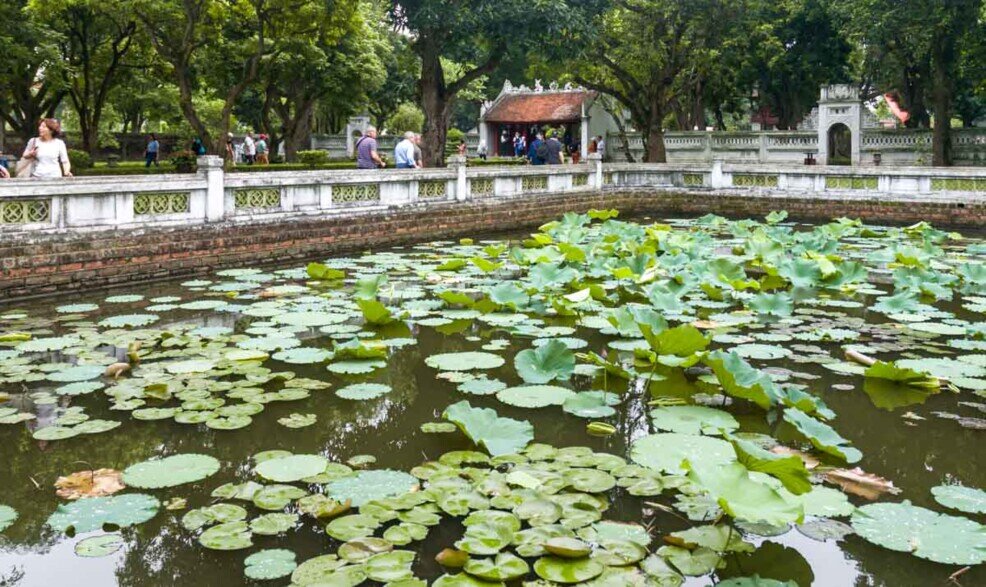 Tante foglie verdi che galleggiano sull'acqua di un laghetto all'università di Van Mieu.