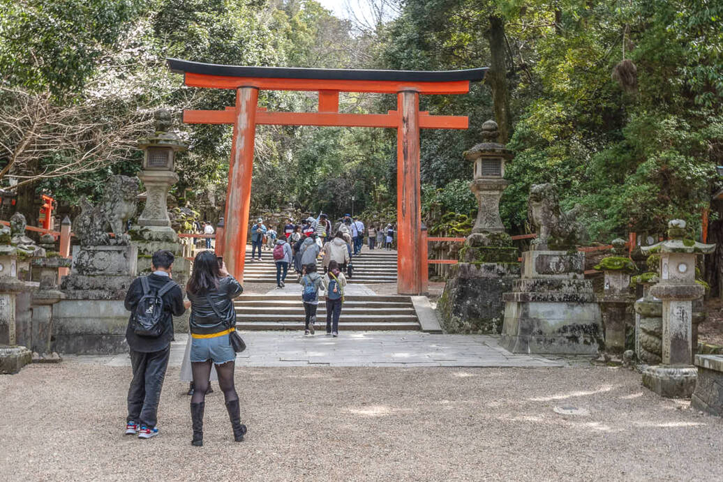 La porta torii del Il Santuario Kasuga-Taisha Una grande porta torii rossa seguita da una scalinata porta al santuario Kasuga-Taisha