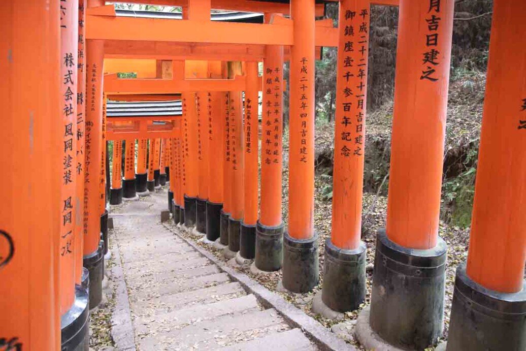Torii Fushimi Inari-Taisha Serie di torii rossi che salgono il monte Inari venerato come un Dio.