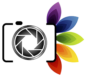 logo e collegamento alla homepage