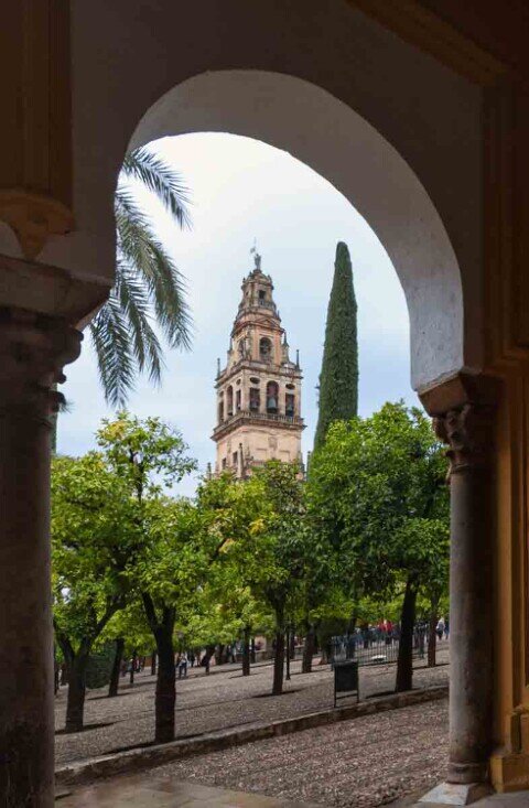 Un giardino con tanti alberi con sullo sfondo un minareto.