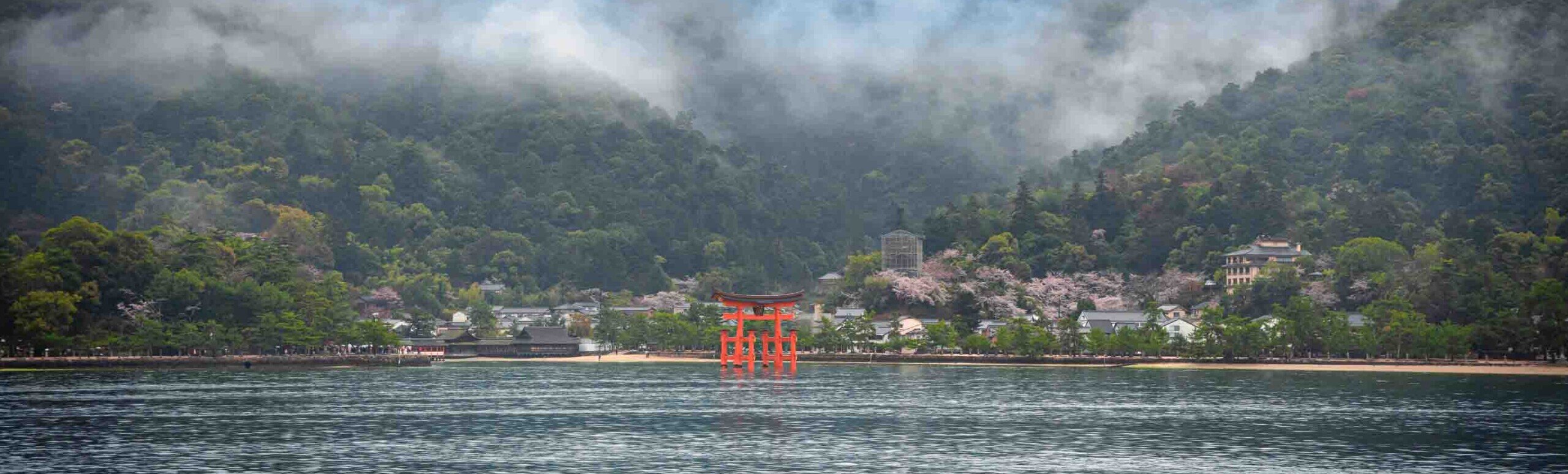 In mezzo al mare sembra emergere un torii rosso vermiglio