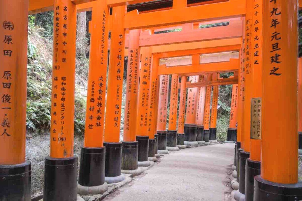 Fushimi Inari-Taisha Camminata circondata da torii arancioni al Fushimi Inari-Taisha, un luogo sacro e iconico in Giappone.