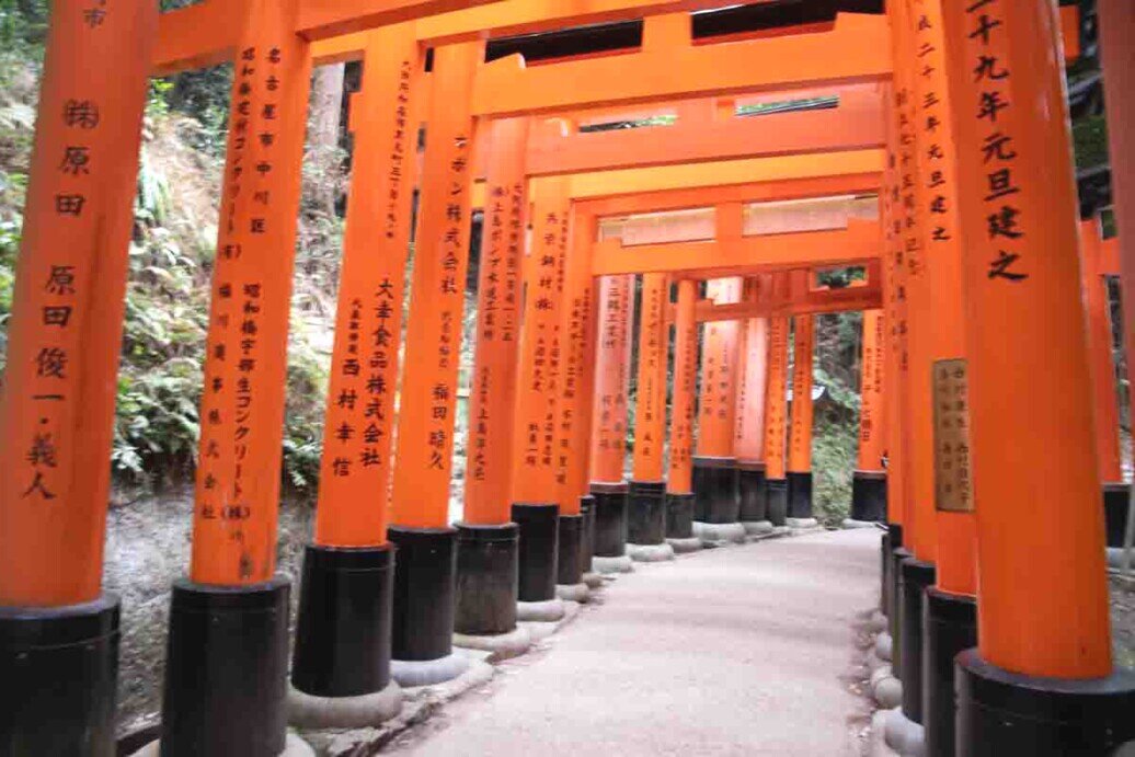Sequenza torii al Fushimi-inari-taisha