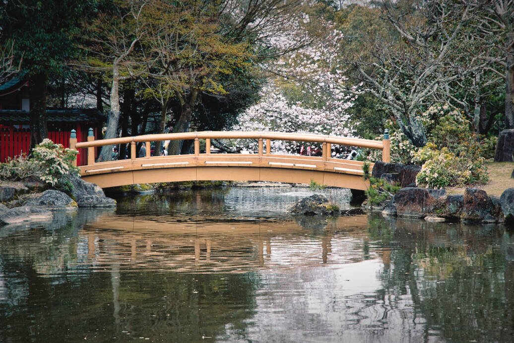 Parco di Nara Ponte di legno in mezzo ad un laghetto nel parco di Nara.