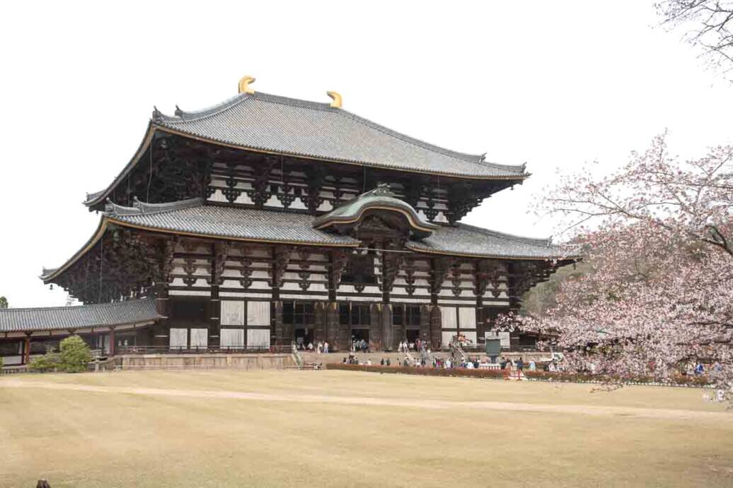 Il mastodontico Tempio Todai-ji_Nara Il Tempio Todai-ji di Nara il più grande del mondo con al suo interno il buddha alto 15 metri.