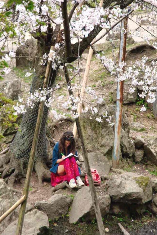 Una ragazza seduta sotto un albero di ciliegio in fiore intenta a scrivere.