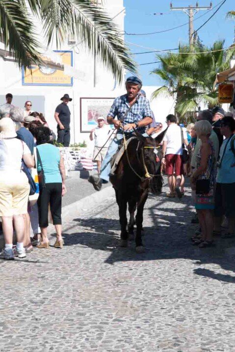 Un cavaliere in groppa al suo asinello a passeggio su una strada di Santorini in mezzo ai turisti.