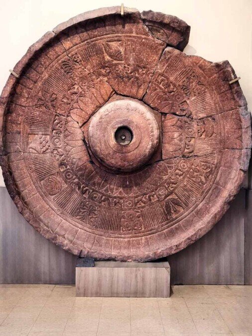 L'ombrello finemente intagliato Una grande ruota in pietra finemente incisa che fungeva da ombrello alle colonne di Ashoka.