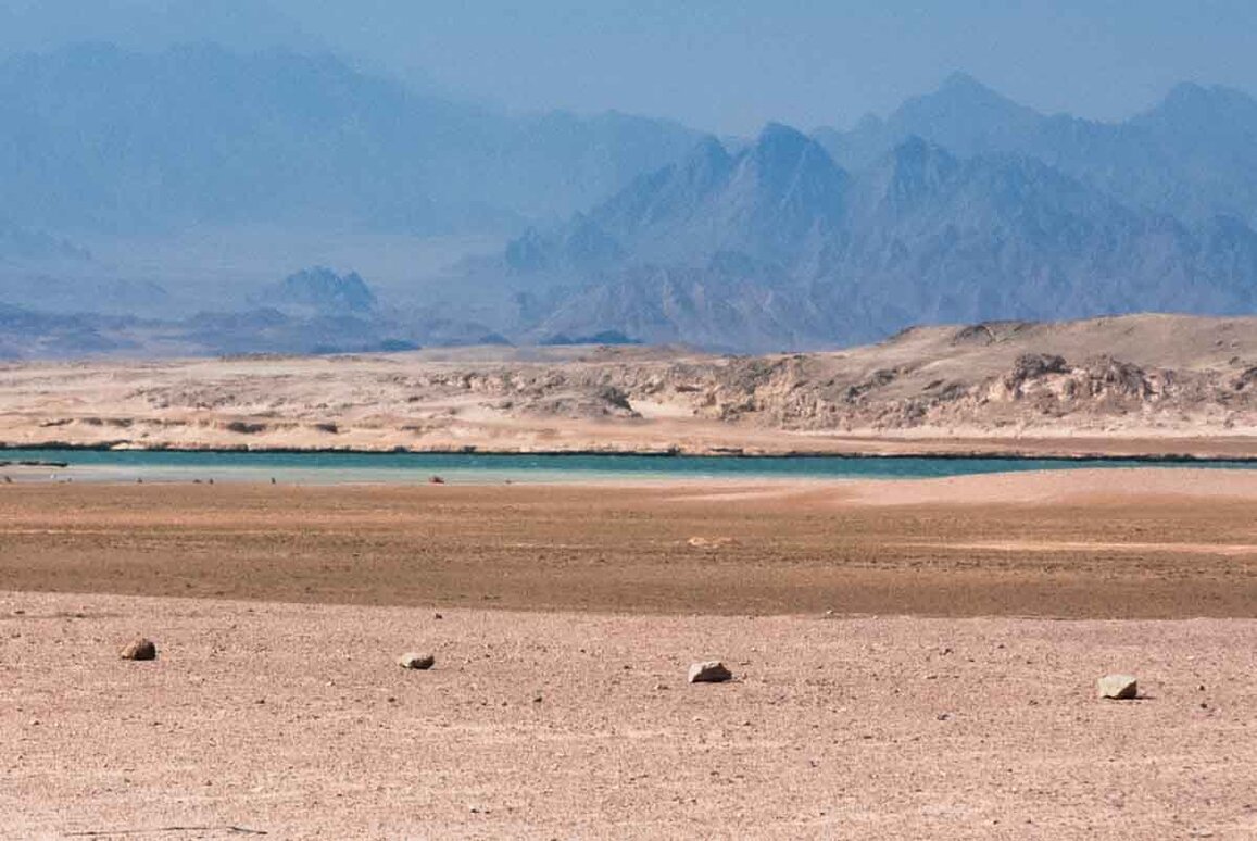 Savana africana al tramonto
