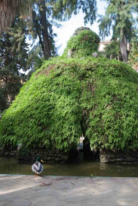 Alcaszar giardino della croce Una grande siepe verde con un'anatra che passeggia.