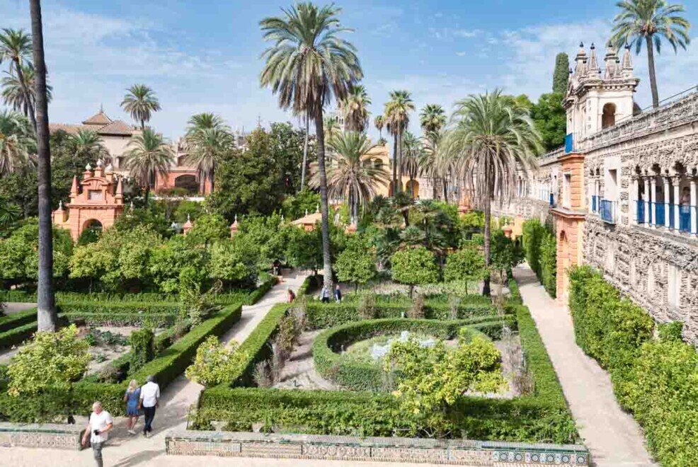 Il Giardino delle Dame, visto dalla Galleria del Grottesco. Un grande giardino con siepi ben curate e tante palme.