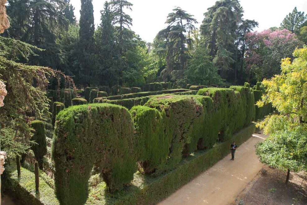 Grandi siepi che rappresentano elefanti in fila Un giardino con alte siepi a forma di elefanti incolonnati.