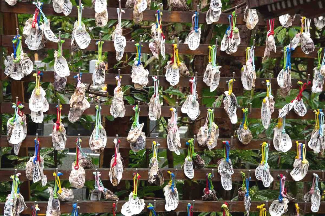 Numerosi gusci di ostriche appesi su filamenti come offerte votive che custodiscono desideri, speranze e sogni.