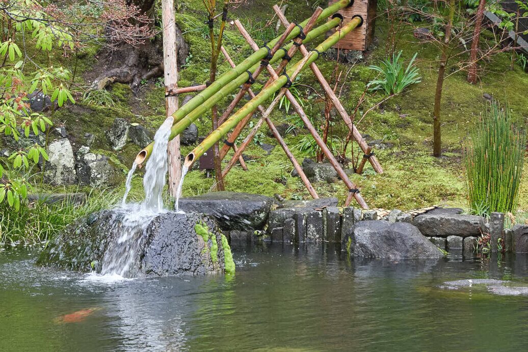 Un laghetto con pesci rossi alimentato dall'acqua che sgorga da delle canne di bambù che fungono da fontanella.
