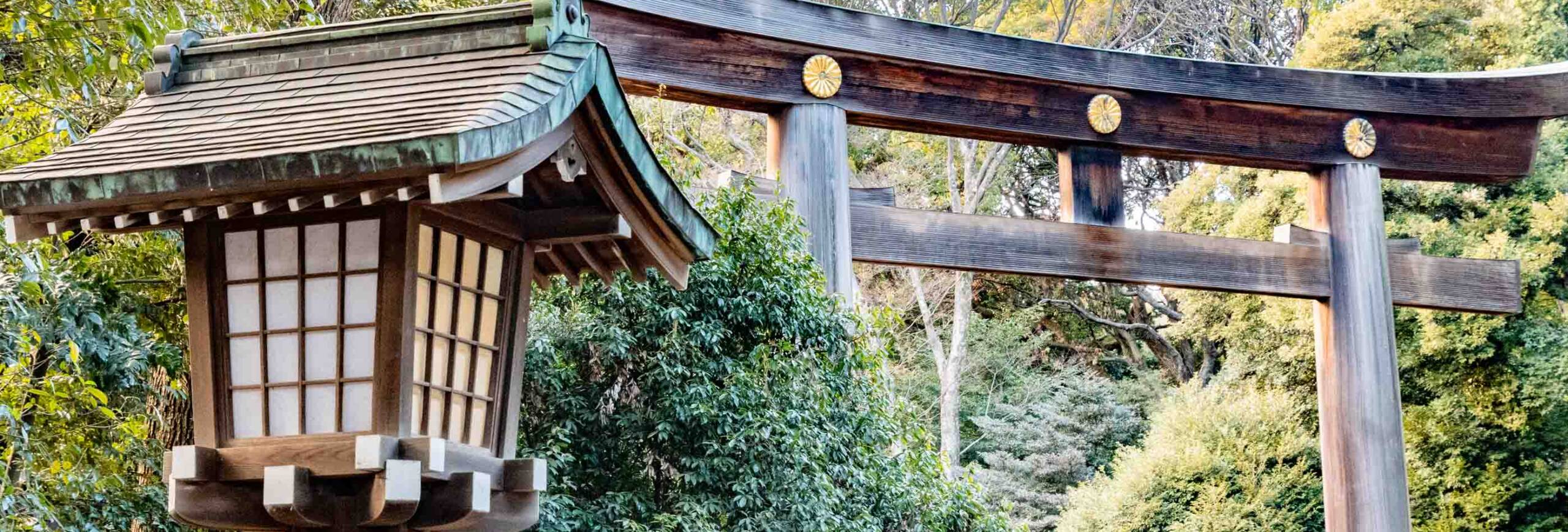 Santuario Meiji Lanterna in legno e porta torii
